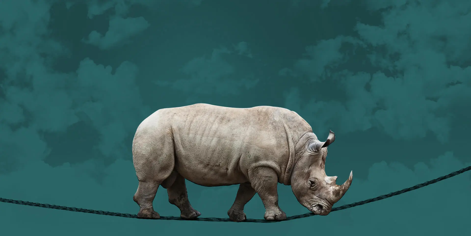 A rhino is walking on a wire with clouds in the background.